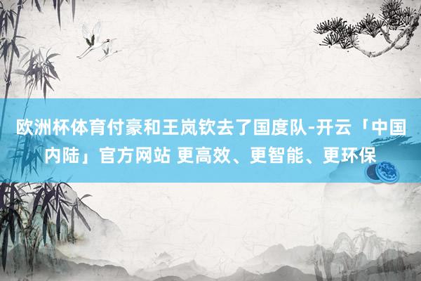 欧洲杯体育付豪和王岚钦去了国度队-开云「中国内陆」官方网站 更高效、更智能、更环保