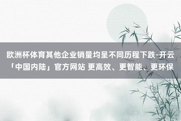 欧洲杯体育其他企业销量均呈不同历程下跌-开云「中国内陆」官方网站 更高效、更智能、更环保