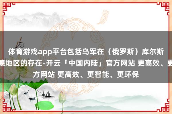 体育游戏app平台包括乌军在（俄罗斯）库尔斯克和别尔哥罗德地区的存在-开云「中国内陆」官方网站 更高效、更智能、更环保