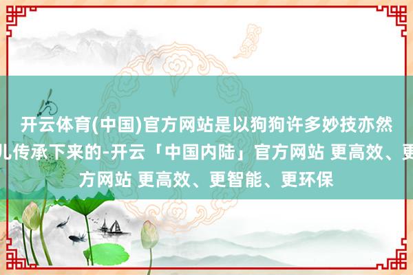 开云体育(中国)官方网站是以狗狗许多妙技亦然从旷古的狼那儿传承下来的-开云「中国内陆」官方网站 更高效、更智能、更环保