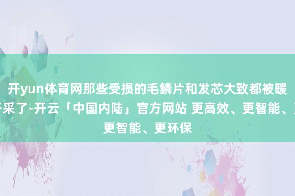 开yun体育网那些受损的毛鳞片和发芯大致都被暖热地开采了-开云「中国内陆」官方网站 更高效、更智能、更环保