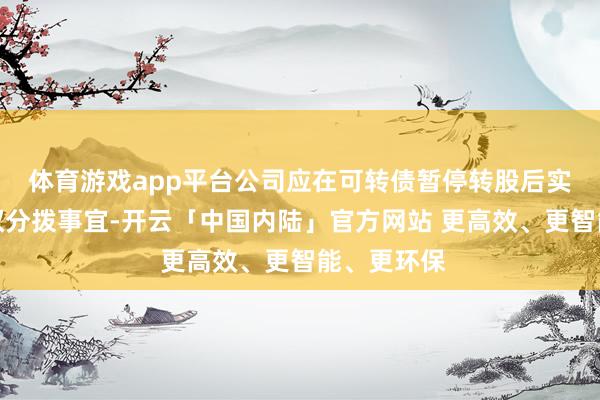体育游戏app平台公司应在可转债暂停转股后实时办理职权分拨事宜-开云「中国内陆」官方网站 更高效、更智能、更环保