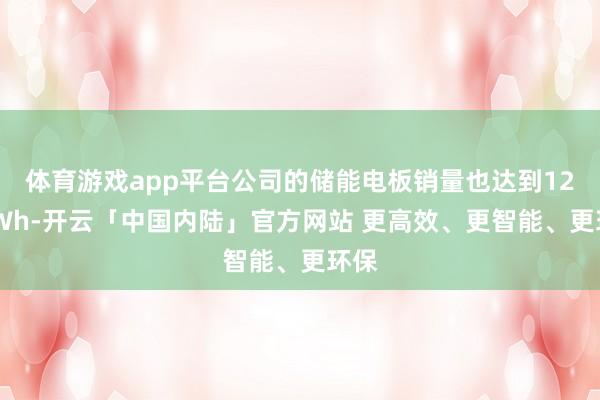 体育游戏app平台公司的储能电板销量也达到121GWh-开云「中国内陆」官方网站 更高效、更智能、更环保