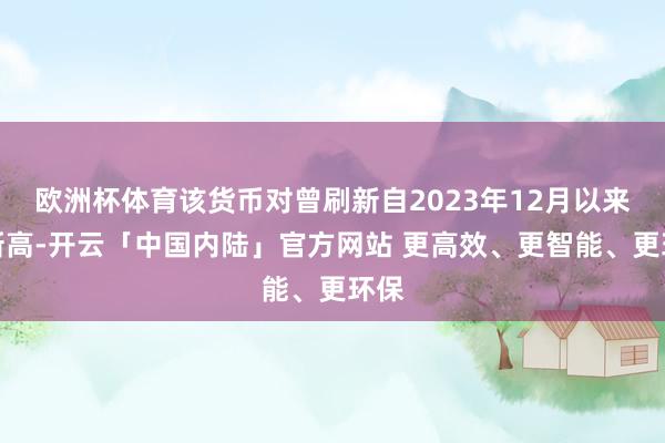 欧洲杯体育该货币对曾刷新自2023年12月以来的新高-开云「中国内陆」官方网站 更高效、更智能、更环保