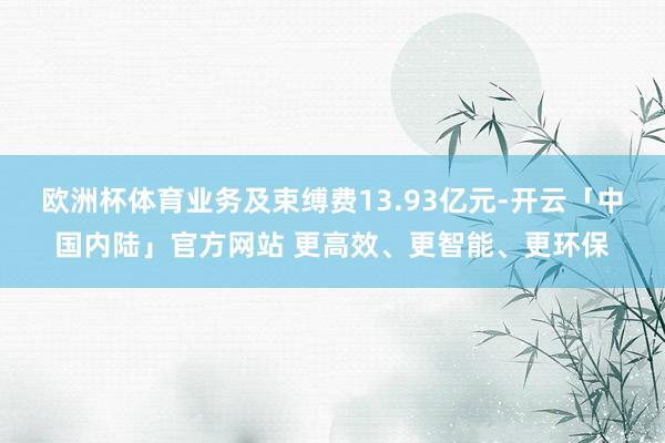 欧洲杯体育业务及束缚费13.93亿元-开云「中国内陆」官方网站 更高效、更智能、更环保
